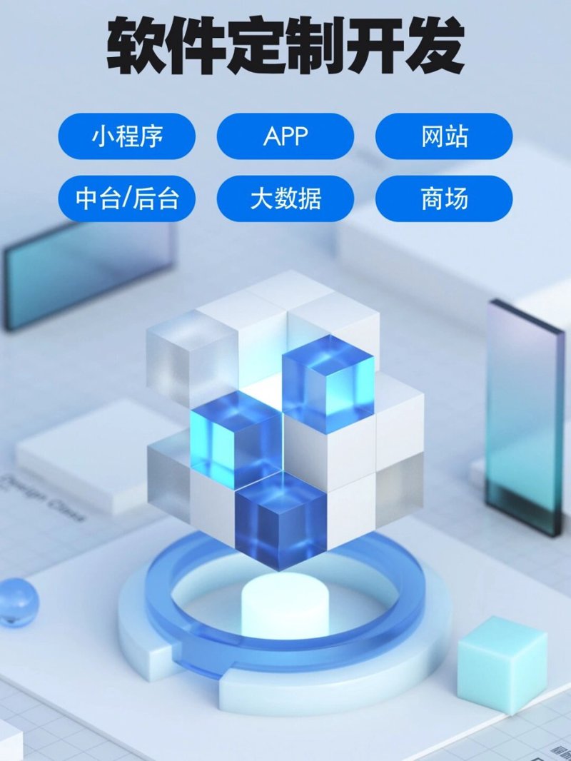 软件定制开发:企业成长的加速器