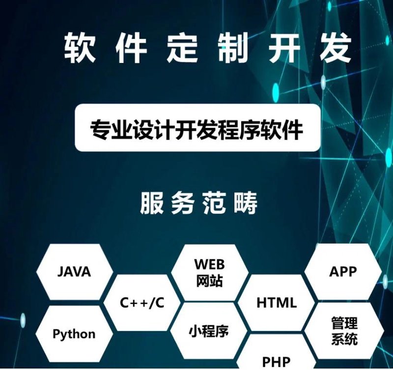 探索软件定制开发新纪元